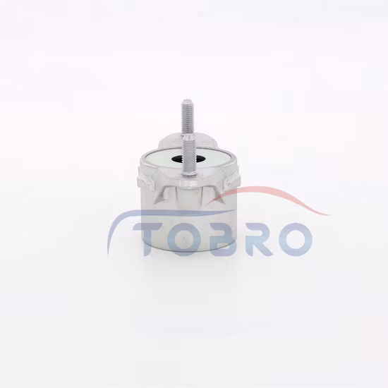 Tobro Sospensione Ricambi Auto Ammortizzatore 21031000 2463260064 Montaggio Puntone Montaggio Puntone per Mercedes Benz a