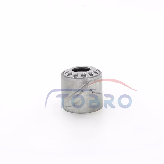 Supporti del puntone della sospensione dei ricambi auto 21043500 1j0513353b 1j0513353b 1j0513353c 1j0513353G di Tobro per il supporto del puntone della sospensione di VW Bora Golf